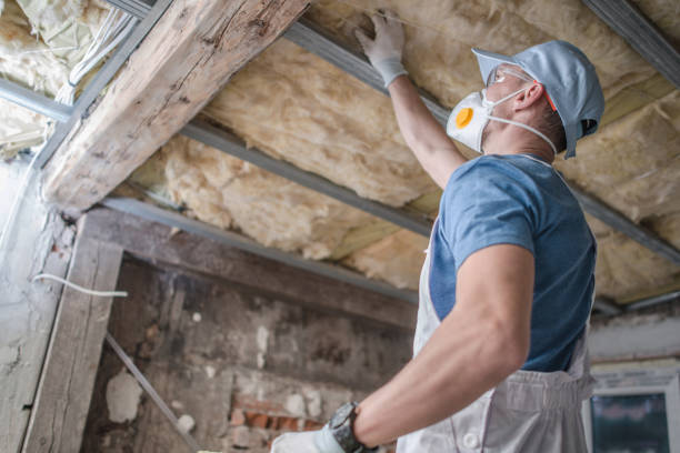 Best Residential Insulation in Energy, IL